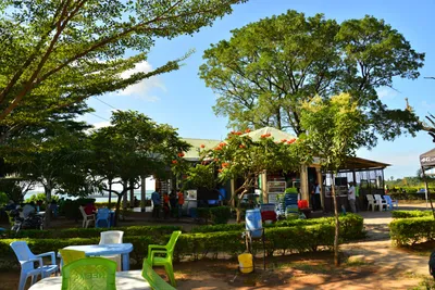 DSC_4602 (Large).JPG